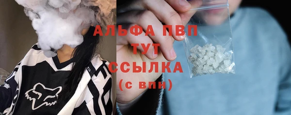 спиды Верея